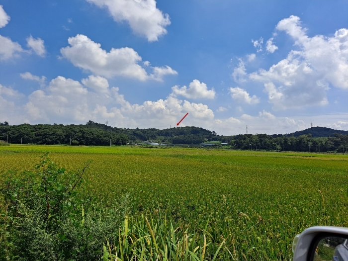 수원지방법원2021타경66465 본건 서측 원경