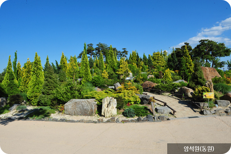 한밭수목원 암석원(동원)이미지/출처: 한밭수목원 홈페이지