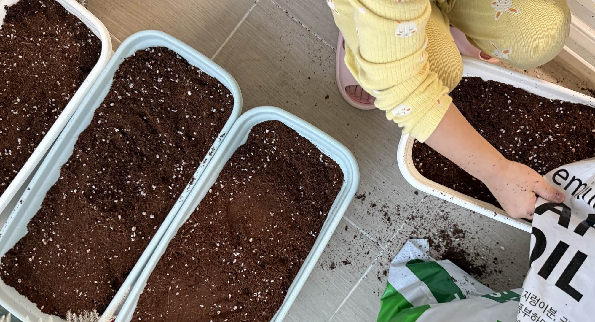 베란다텃밭-흙넣기