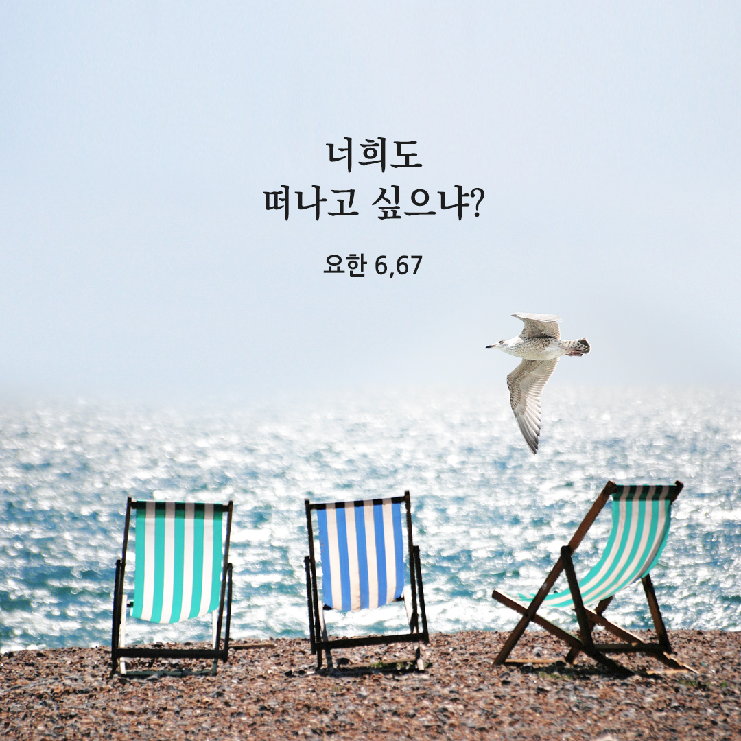 너희도 떠나고 싶으냐? (요한 6,67) 요한복음 성경 말씀 카드 이미지