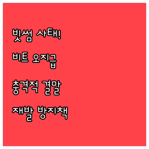 빗썸 입출금 중단 부른 비트코인 오지..