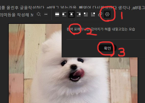 강아지 그림을 이용한 alt 태그설명