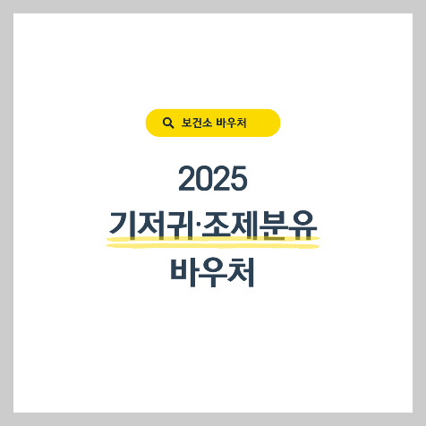 2025년 보건소 바우처 혜택, 기저귀·분유 지원받는 법 알려드립니다 - 신청 자격, 금액, 절차 정리