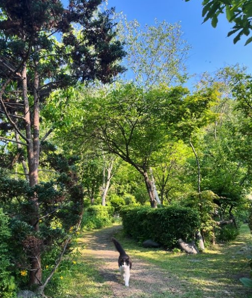 횡성-가볼만한곳-베스트-10-03-02