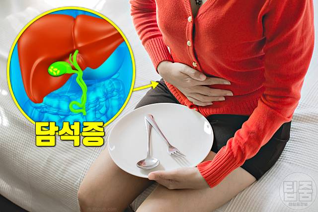 담석증 증상 초기증상 소화불량 속쓰림 배에 가스