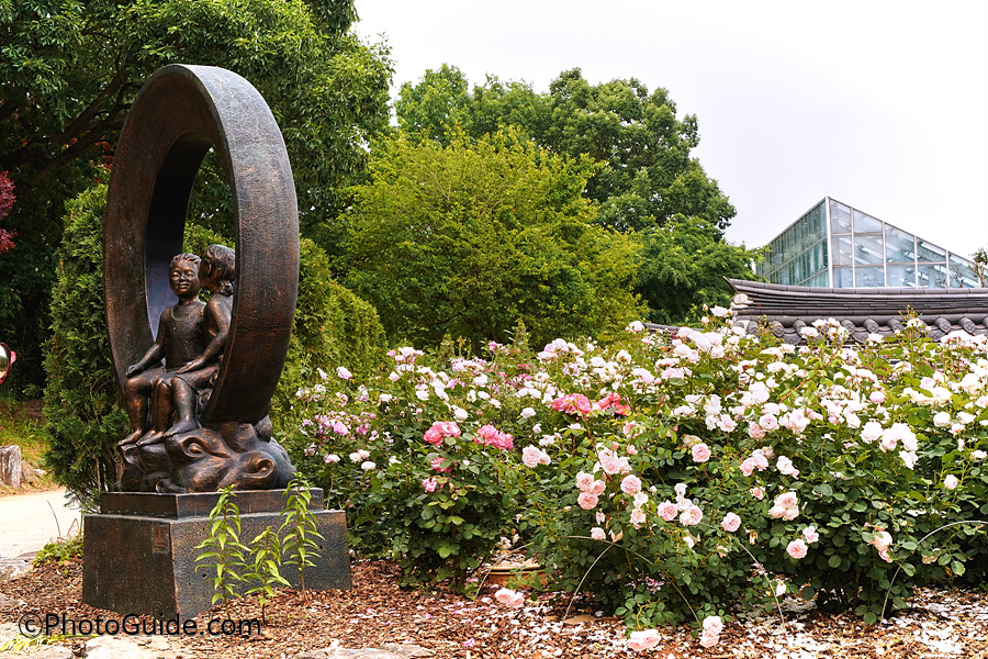 전주수목원장미