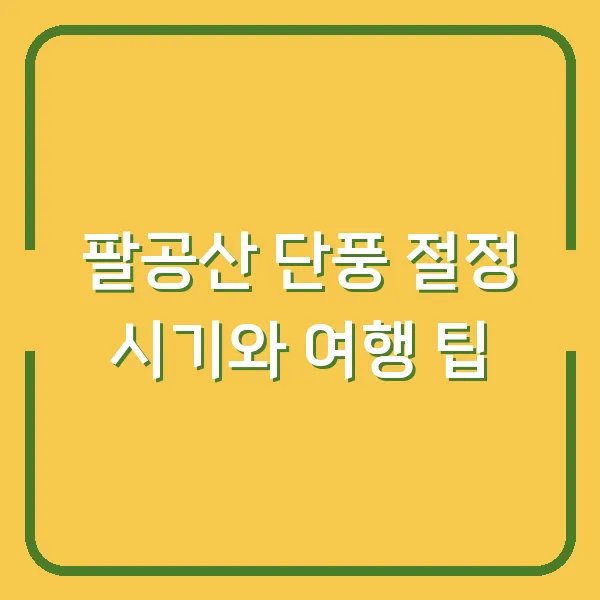 팔공산 단풍 절정 시기와 여행 팁