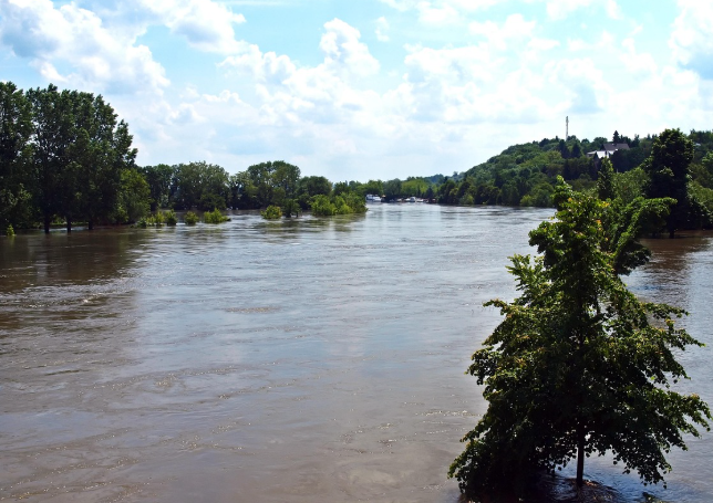 폭우피해보상 - 금융지원, 긴급생활안정자금, 납입유예, 융자연장, 카드청구유예, 채무조정까지