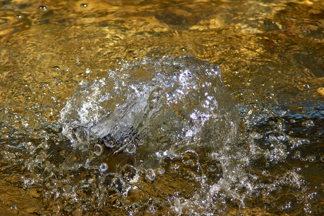 'Waterbomb'