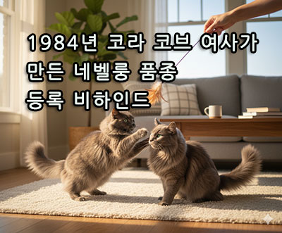 1984년 코라 코브 여사가 만든 네벨룽 품종 등록 비하인드