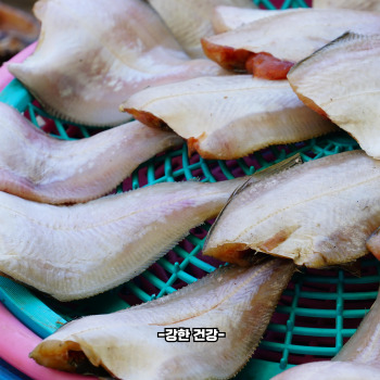넙치 효능