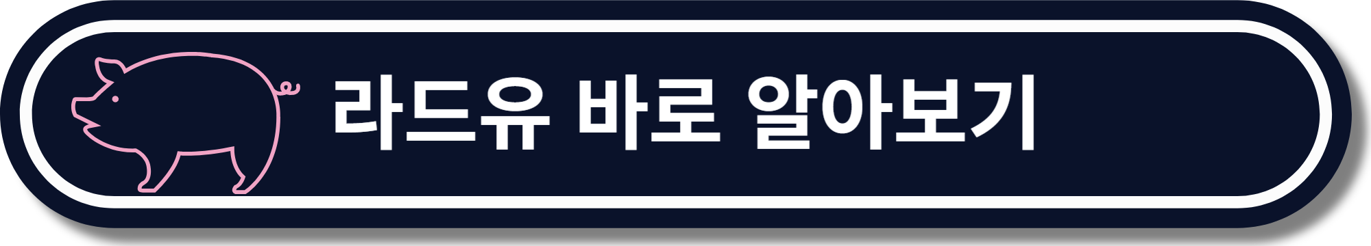 콤부차 효능 추천 다이어트