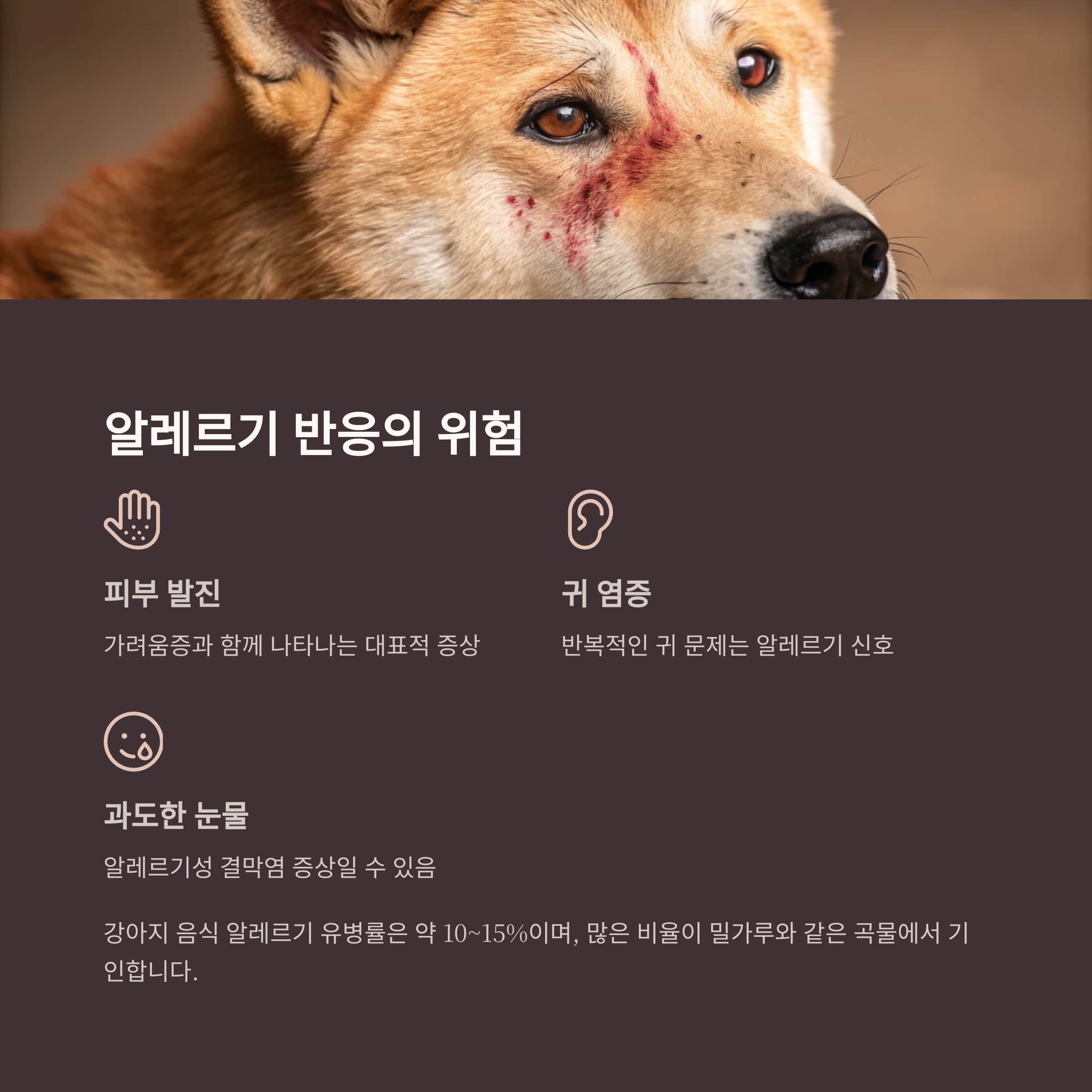 알레르기 반응의 위험