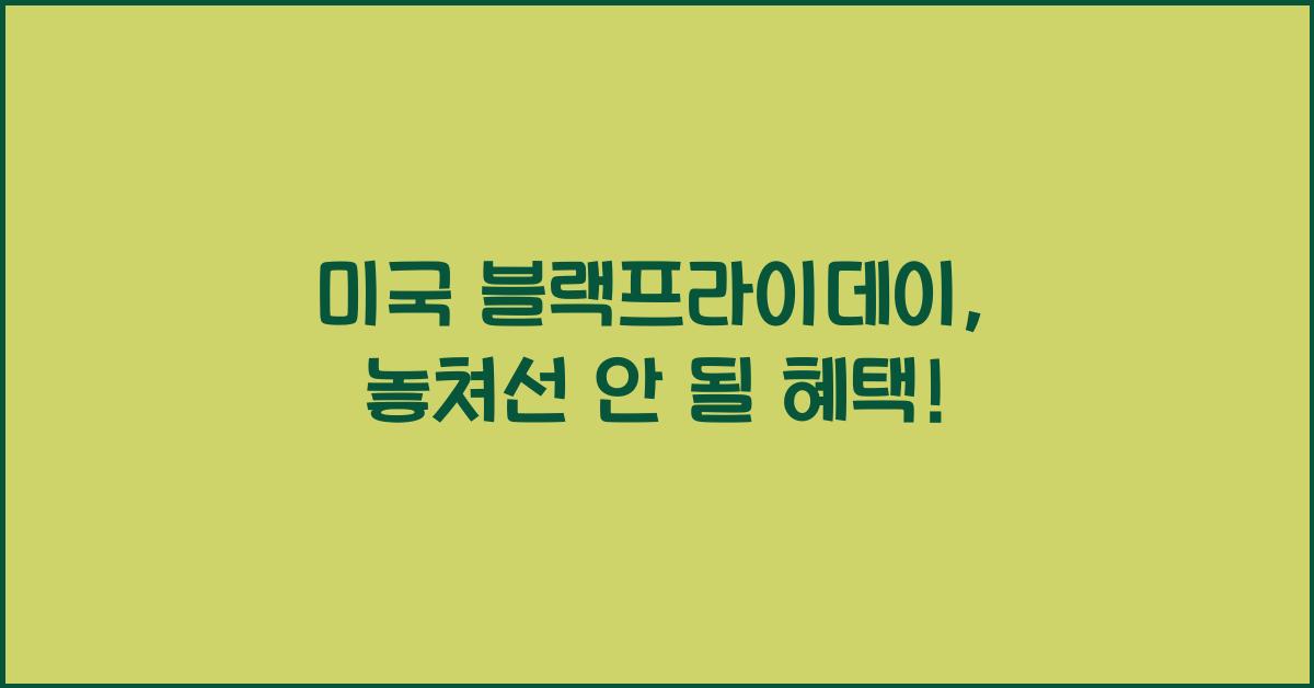 미국 블랙프라이데이