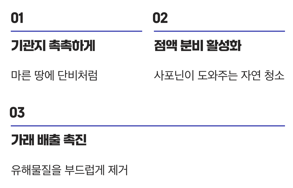 미세먼지에 지친 기관지를 위한 위로