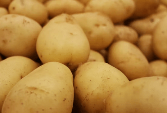 50대 이후 꼭 챙겨야 할 영양소 8가지