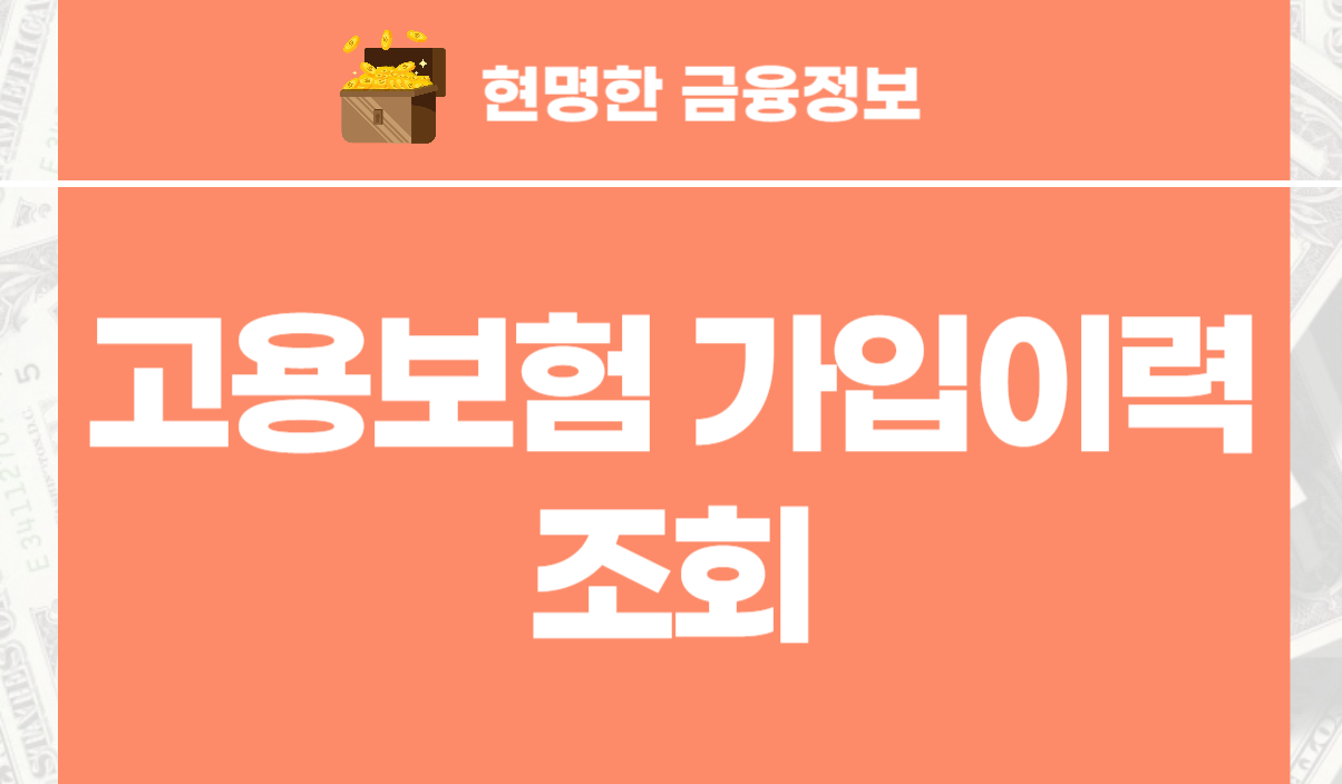 고용보험 가입이력 조회