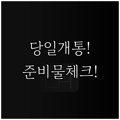 당일 개통 가능한 알뜰폰 선택법과 준..