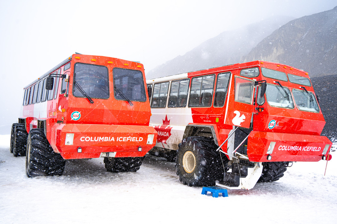 캐나다 컬럼비아 아이스필드