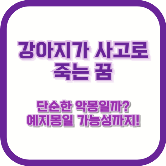 강아지가 사고로 죽는 꿈, 단순한 악몽일까? 예지몽일 가능성까지!