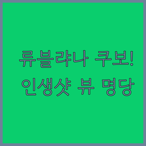 슬로베니아 류블랴나 호텔 쿠보 객실 ..