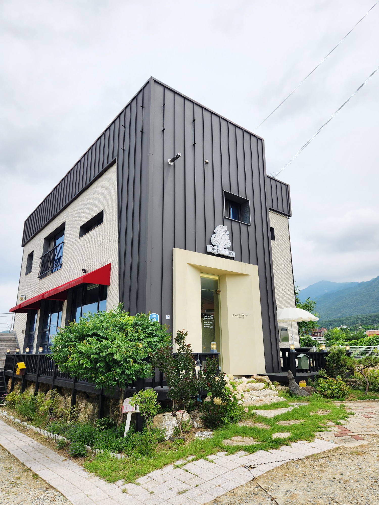 델피니움에스테틱