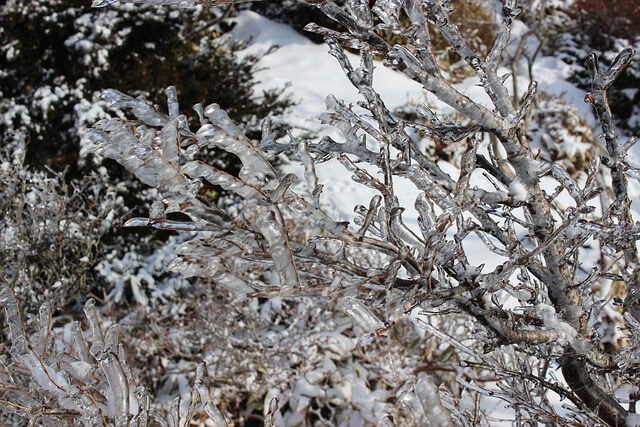 2025 한라산 탐방 사전예약 필수! 성판악&middot;관음사 코스 신청 꿀팁