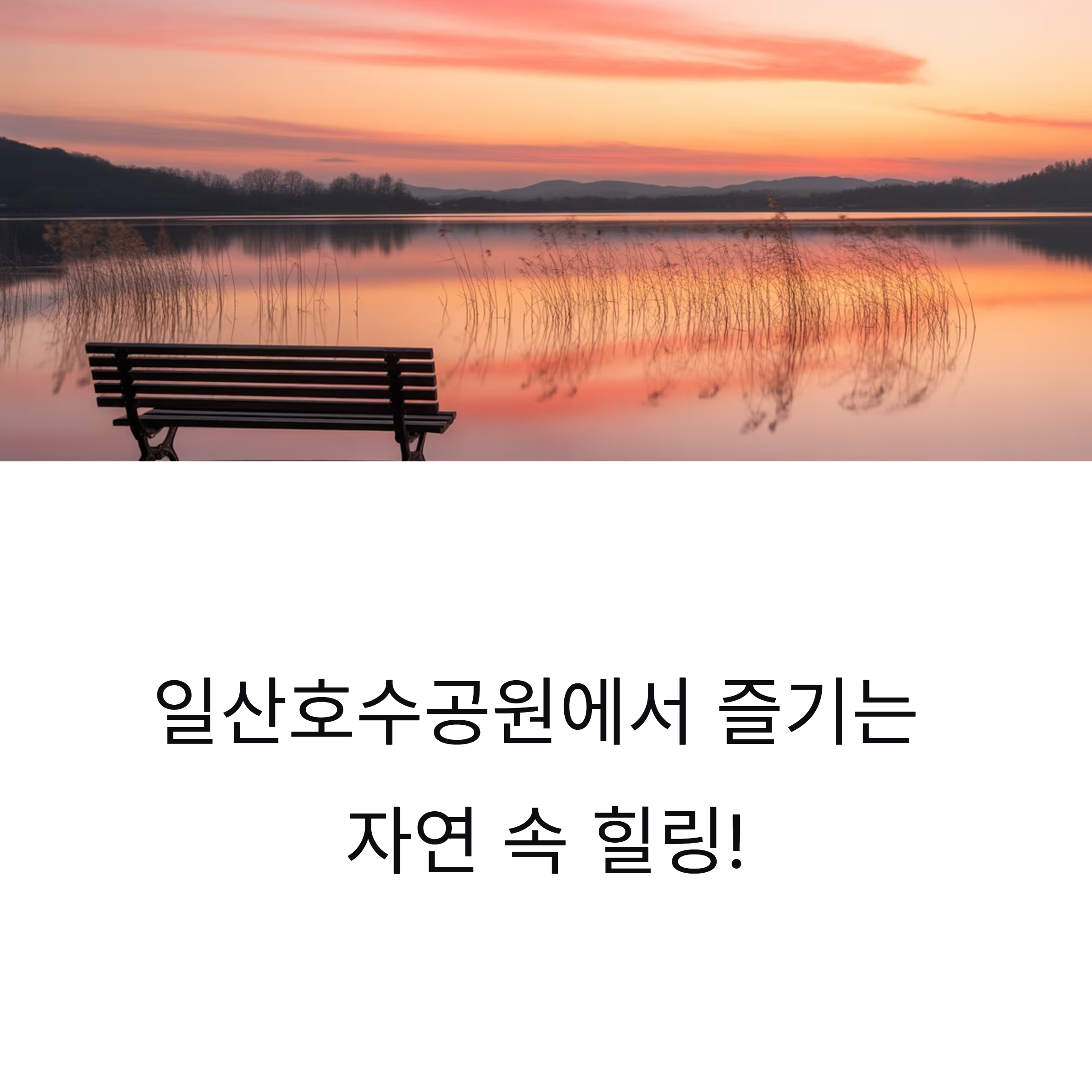 자연과 놀이가 공존하는 일산호수공원 완전 정복