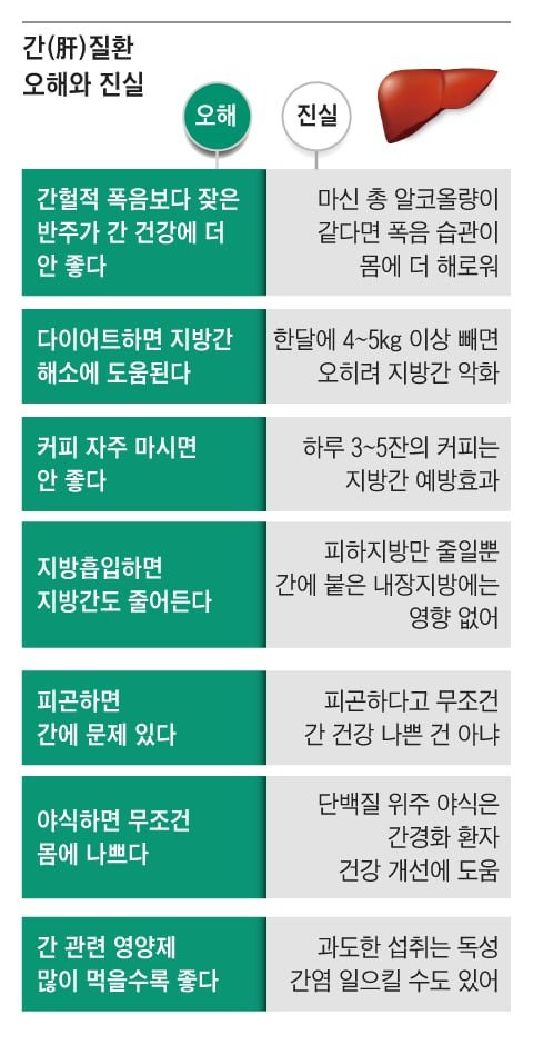 간 질환 오해와 진실/ 출처 - 조선일보