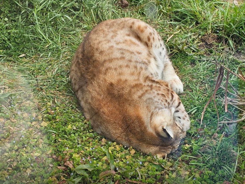 우치공원 동물원