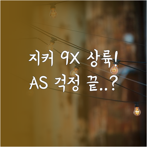 지커 9X 한국 진출과 서비스 센터 ..