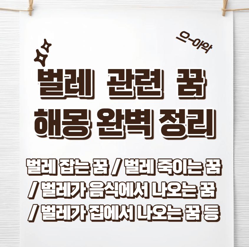 벌레-꿈-해몽-썸네일이미지