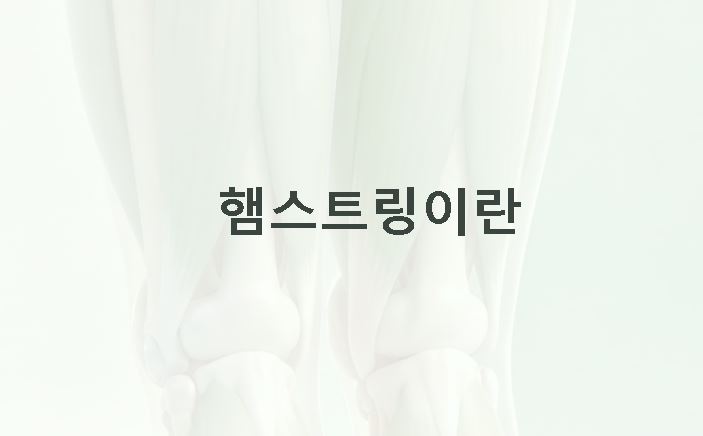 햄스트링 이란 부상 예방법