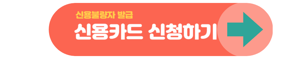 신용불량자 신용카드 발급과 신청조건