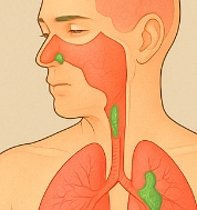 가래가 생기는 원인