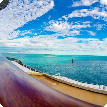 MSC 크루즈 예약 사이트 국내