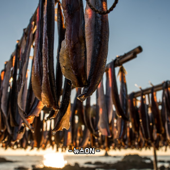 과메기 맛있게 먹는법