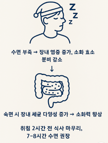 수면과 장 건강의 관계