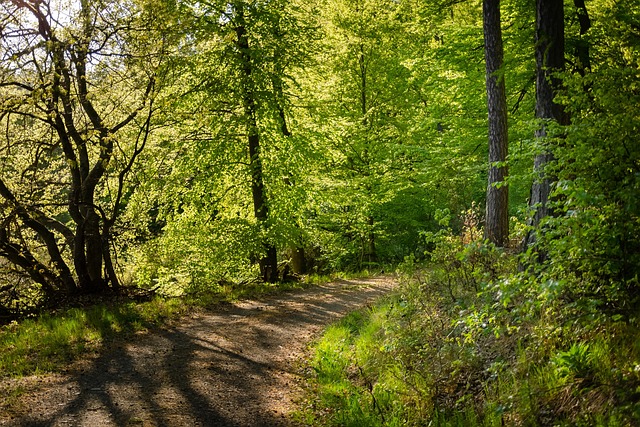 제주시 대표 숲길 6선 안내