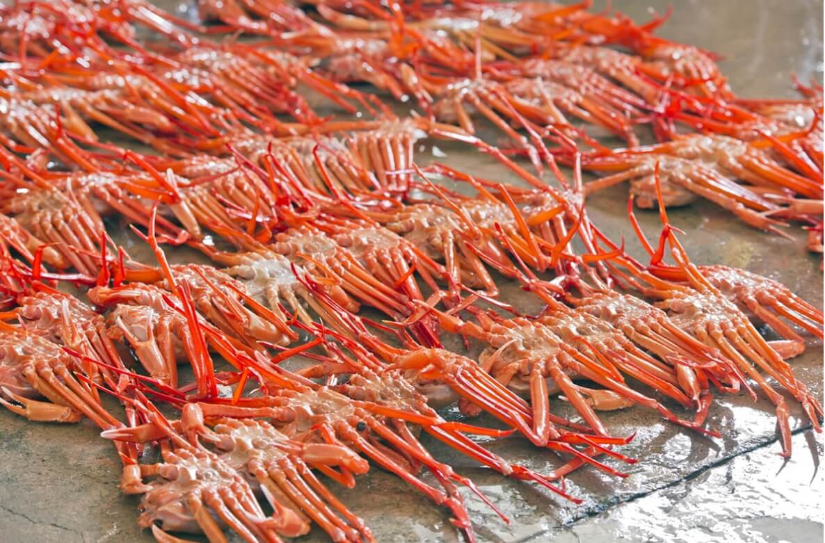 울진여행 울진애고백 신청방법