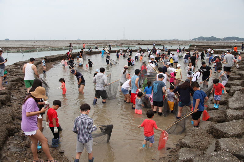 화성 뱃놀이 축제