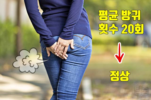 방귀 너무 자주 나오면 이유 냄새 지독 방귀 자독 뀌는 사람
