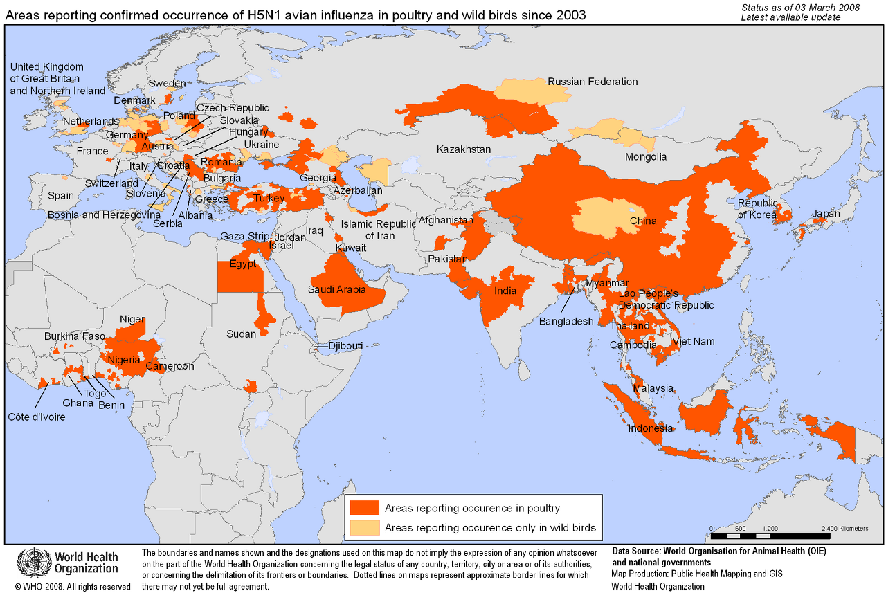조류독감 대유행