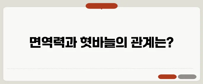 혓바늘이 돋는 이유 면역력 저하가 만든 결과
