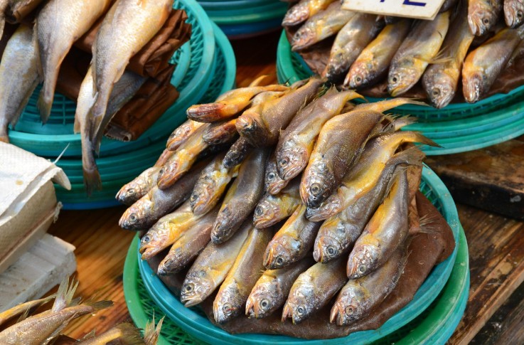 자갈치 시장 조기간수빼는 이미지