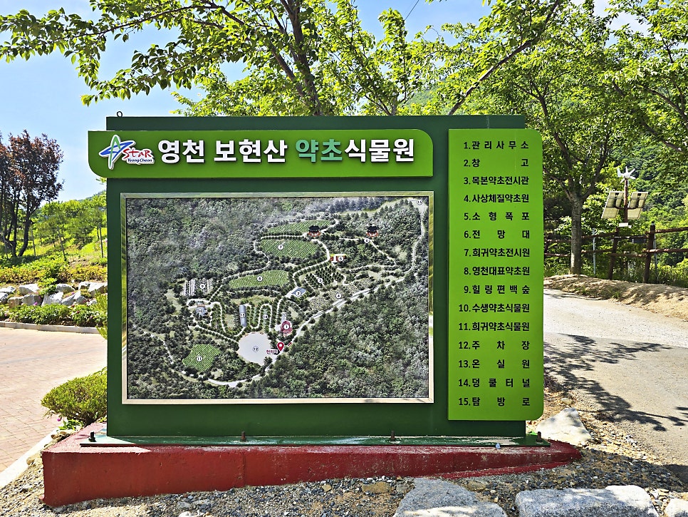 [5월 여행]영천작약꽃축제❘영천 삼창리&middot;정각리 작약꽃밭, 그리고 보현산약초식물원까지