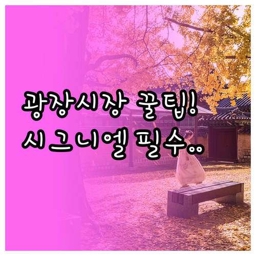 서울 광장시장 나들이 정보와 시그니엘..