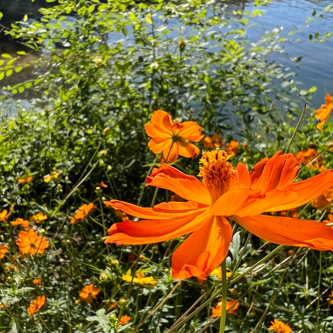 당일-데이트-포천-산정호수-9