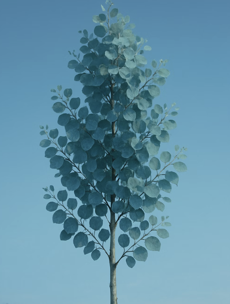 위로만 자라려는 고집쟁이 본능