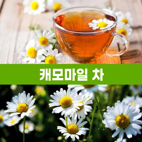 캐모마일 효능